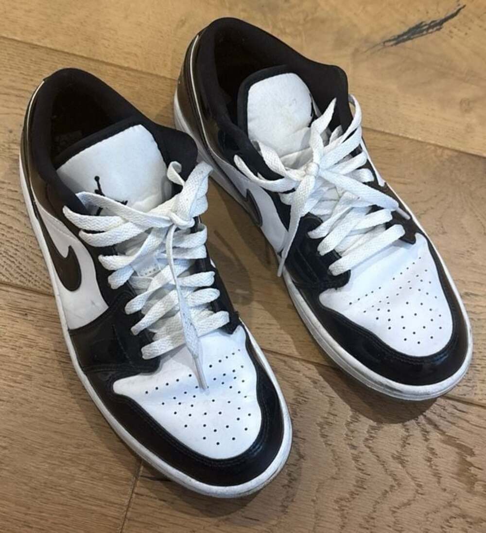 Air Jordan 1 Low SE Concord White Black DV1309-100
